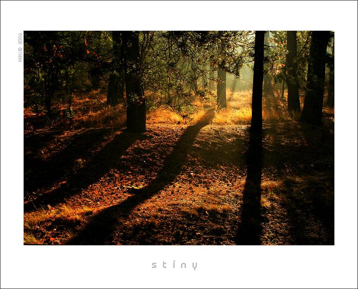 stíny