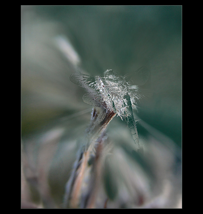 když se čas zastaví ...