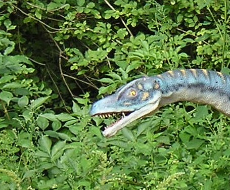 Troodon