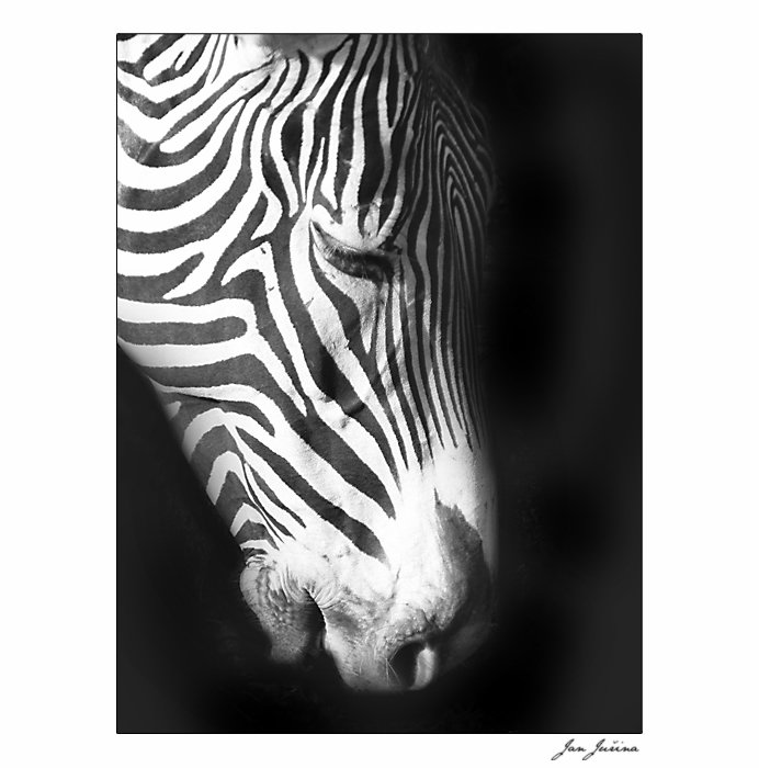 Black&White
