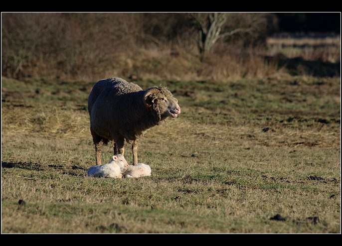 Máme přírustéééék