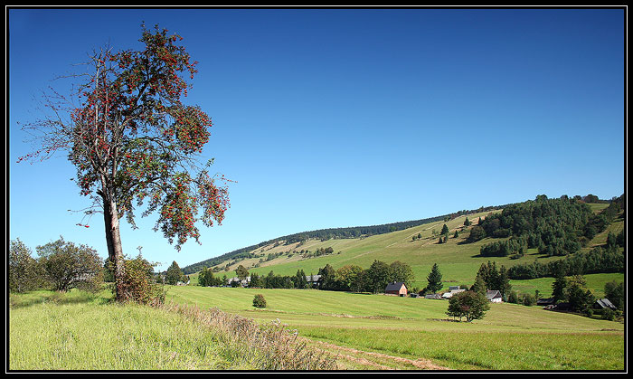 Nahlíží do krajiny