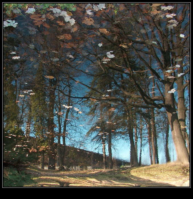 Podzimní zrcadlení (6)