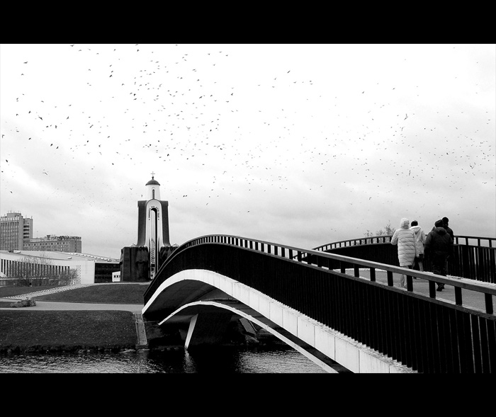 Bridge