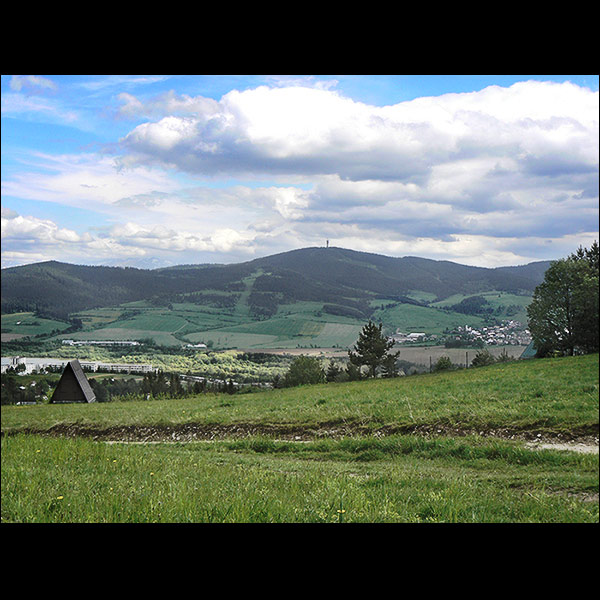 Orava