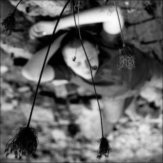 In Dreams