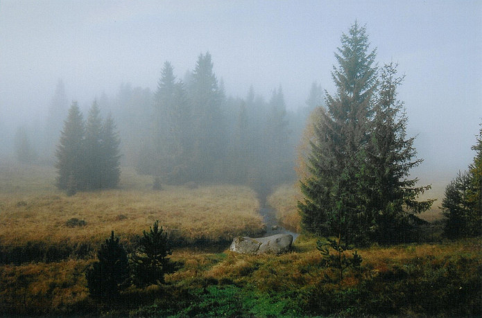 šumavská mlha