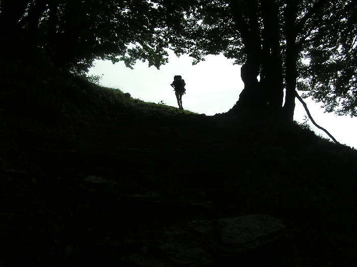 Cesta jde pořád dál a dál kupředu, pryč jde od mých vrat. Daleko už mi utekla a musím za ní pospíchat. Na lehkých nohou dám se vést až k cestě větší, nežli znám, tam, kde se stýká mnoho cest. A potom