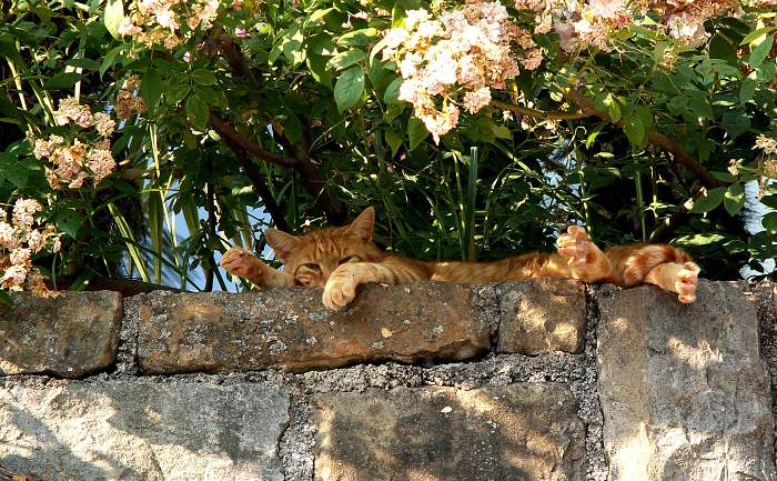 Relax
