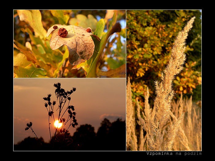 Vzpomínka na podzim