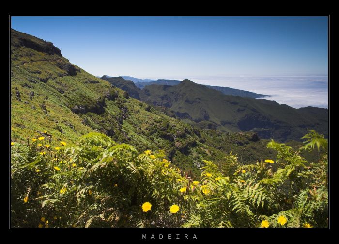 MADEIRA