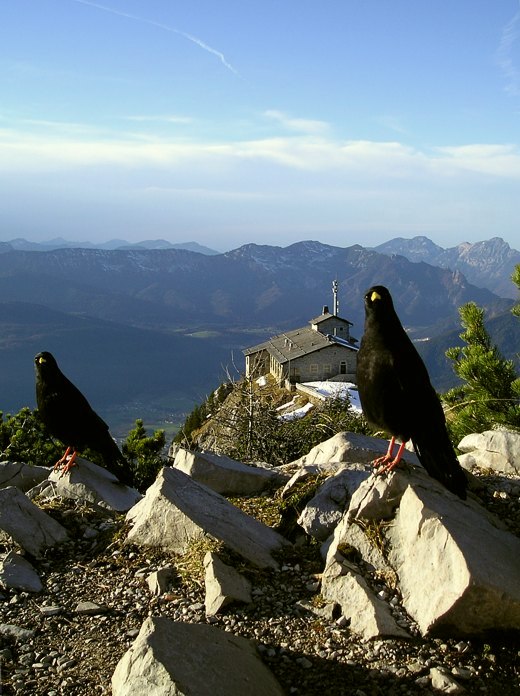 Eagle´s nest