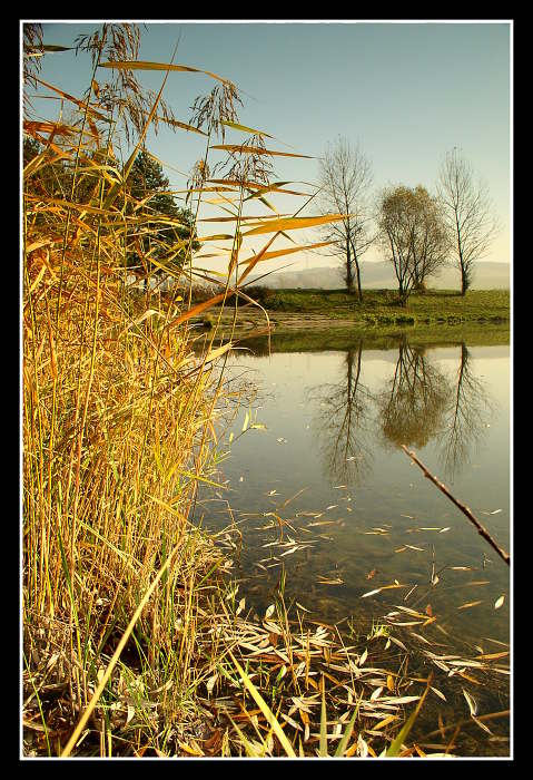 Zrcadlení.