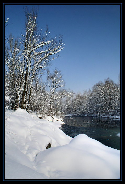 Zima