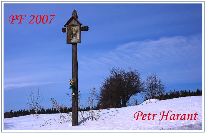 PF 2007