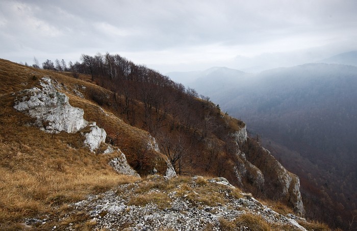 Folkmárska skala