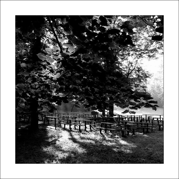 Návraty do veltruského parku XXIII