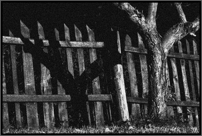 Sám se svým stínem