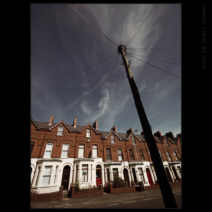 ELECTRIC TREE - Fragment of Belfast VII.