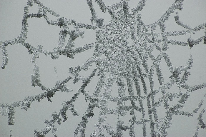 Pavučina a mlha