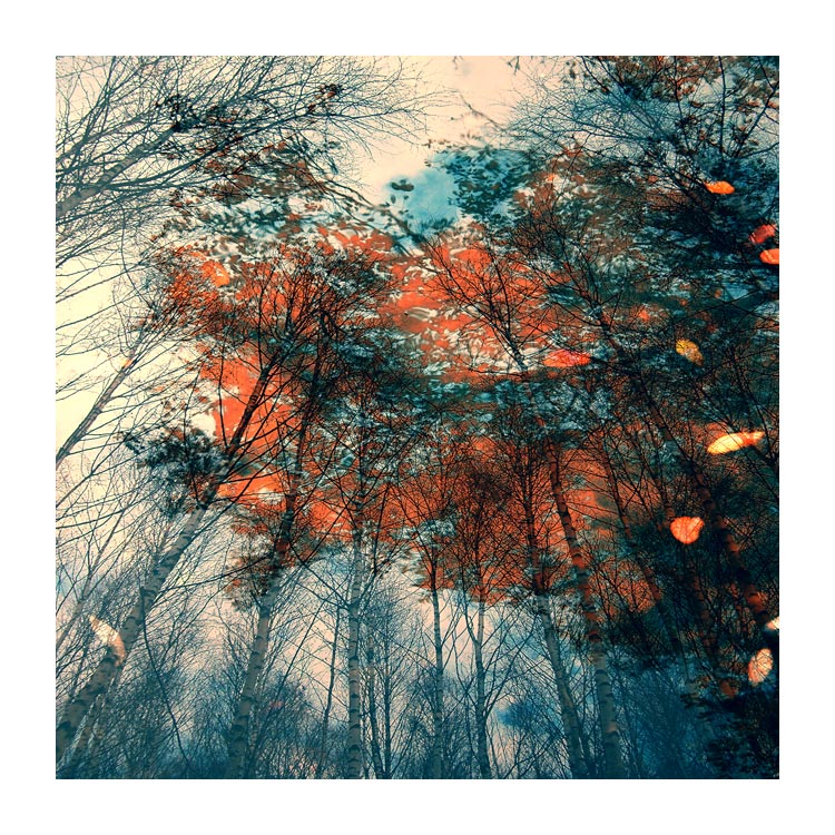 podzimní symfonie II.