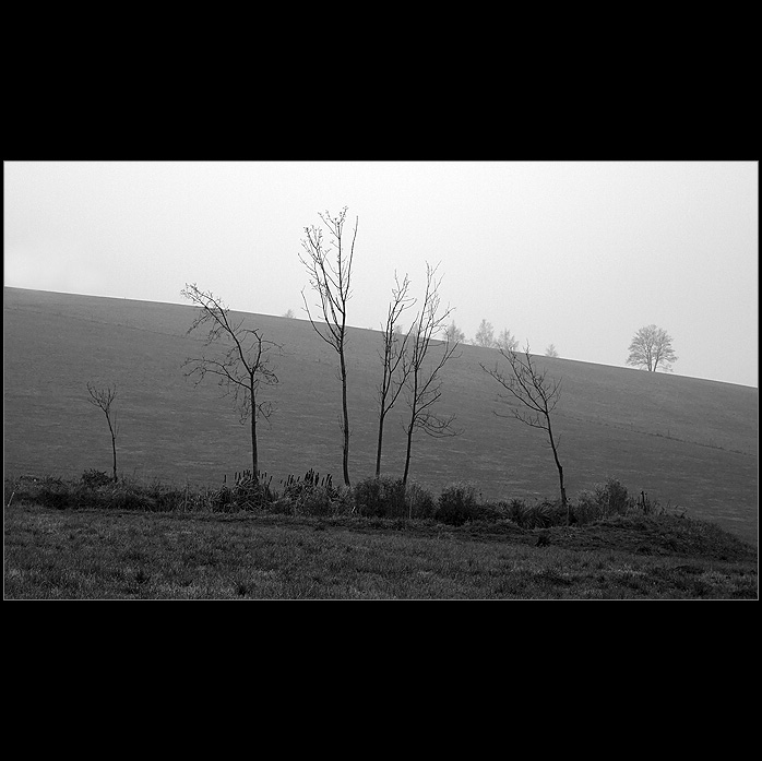 Šest strážců ticha