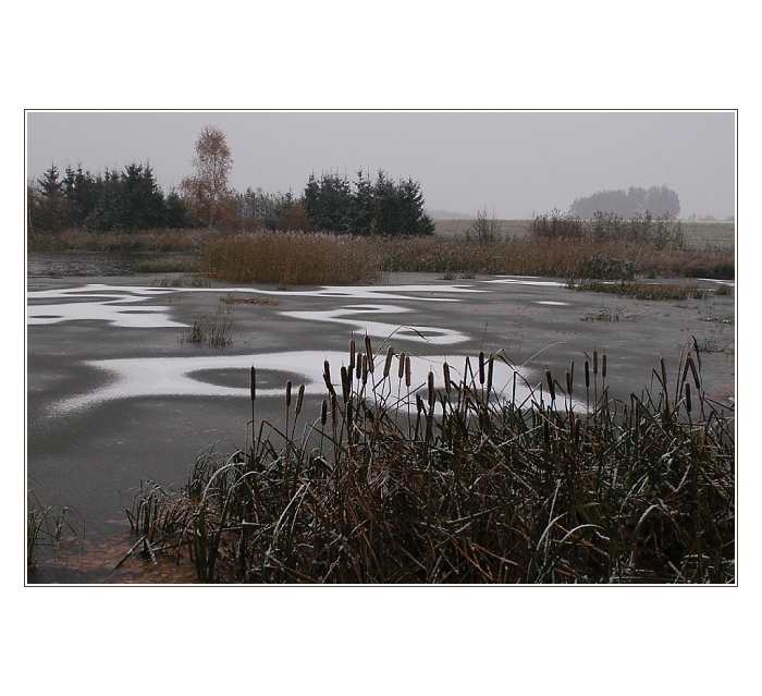 ... moje rybníky ...