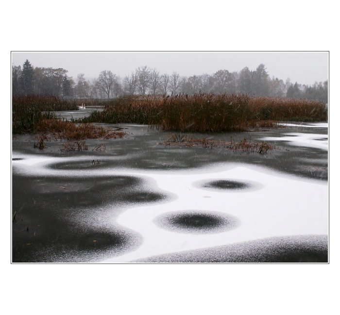 ... labutím, sněžím II ...