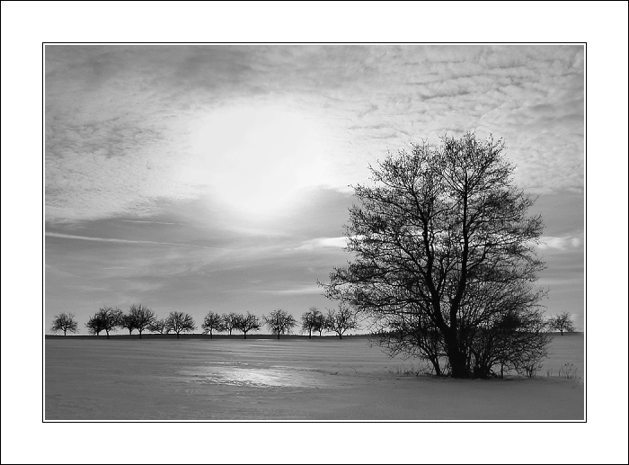 ... zimní odpoledne ...