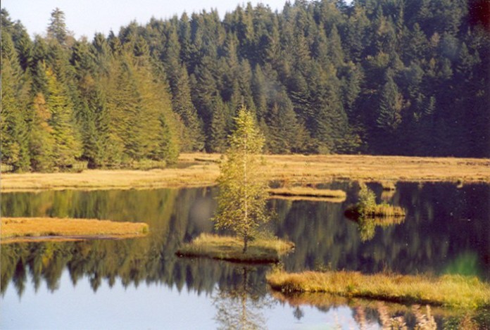 La Brese