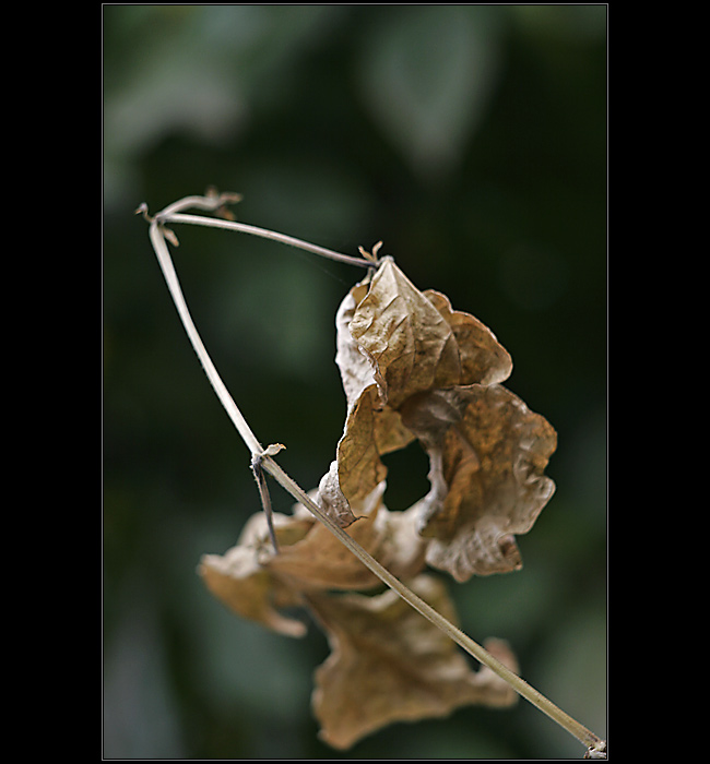 Jesenné momentky III