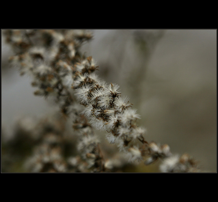 Jesenné momentky IV