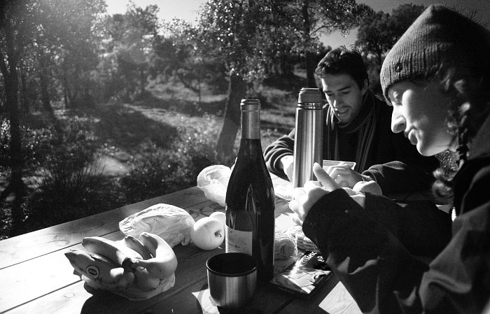 Pique-Nique en Provence