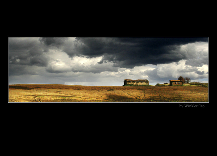 ITALY FIELD SCENERY