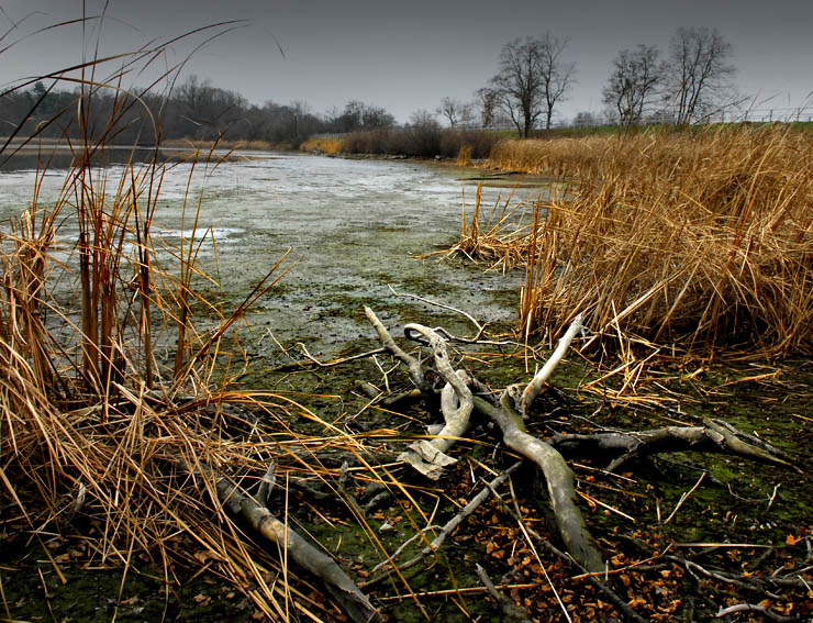 Podzimní smutky II.