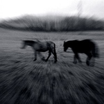 pochod ztracených duší