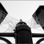 Mráz přišel do Anglie...