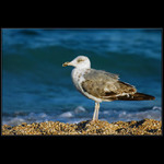 Taká spomienka na leto