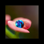 jak se rodí planety