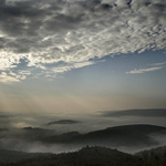 Ranní mlhavé tajemství III