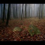 mlha stokrát jinak - 004