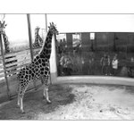 chjo, tech je tu zas jak blech...:)