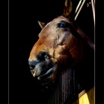 Nemate nekdo paratko?:)