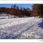 kdy už konečně příjde...?