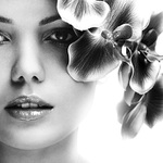 :: Merry Christmas for all ::