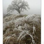 -- mrazivá mlha 3 --