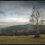 Novembrová - Listopadová