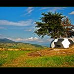 Dělostřelecký pozorovací zvon