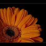 - Barevný nový rok :) -