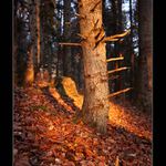 ... jesenné impresie ...